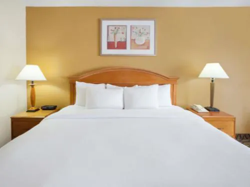 Americas Best Value Inn Canton hotel detail image 2