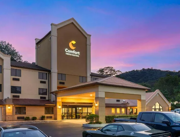 Comfort Inn & Suites LaVale - Cumberland hotel detail image 2