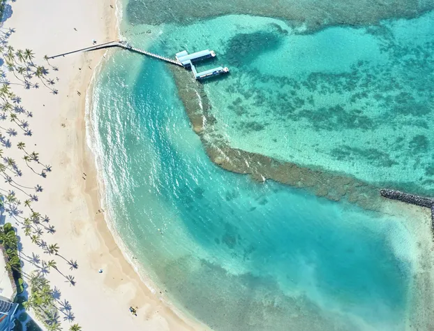 Hilton Hawaiian Village Waikiki Beach Resort hotel detail image 1