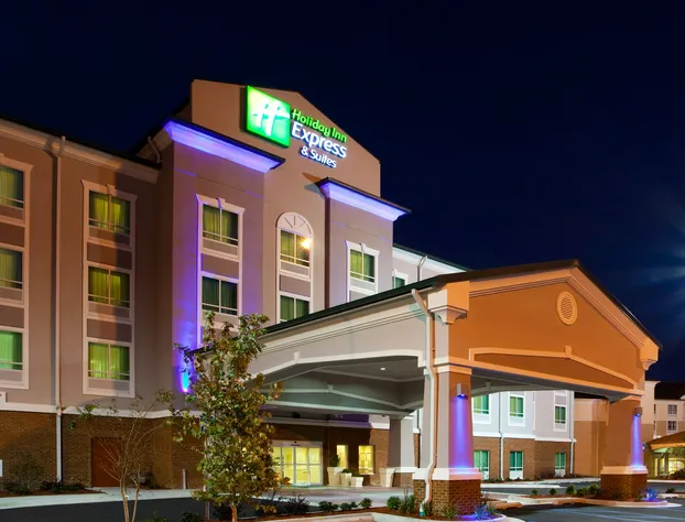 Holiday Inn Express & Suites Valdosta West - Mall Area by IHG hotel detail image 1