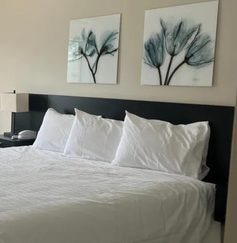 Richland Inn and Suites hotel detail image 4