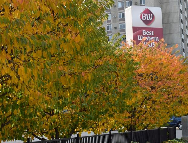 Best Western Plus City Center hotel detail image 3