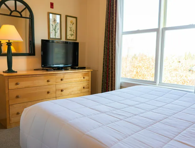 Long Trail House At Stratton Mountain Resort hotel detail image 4