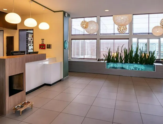 Element Lexington hotel detail image 2