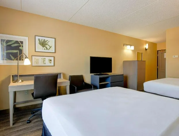 Comfort Inn & Suites St. Paul Northeast hotel detail image 3