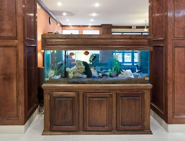 Comfort Inn & Suites Houston Key-Katy hotel detail image 4