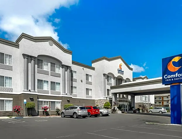 Comfort Inn & Suites Sacramento - University Area hotel detail image 4