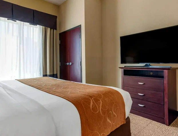 Comfort Suites Airport South hotel detail image 3