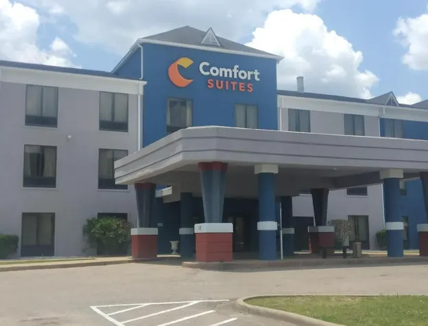 Comfort Suites Airport South hotel detail image 1