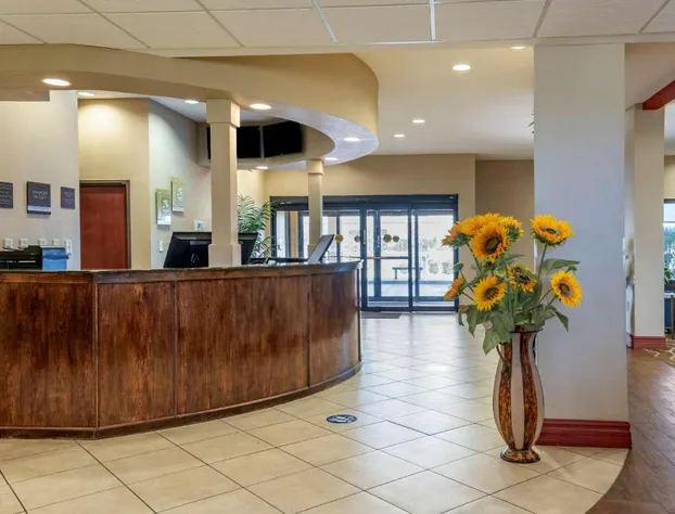 Comfort Suites Airport South hotel detail image 4