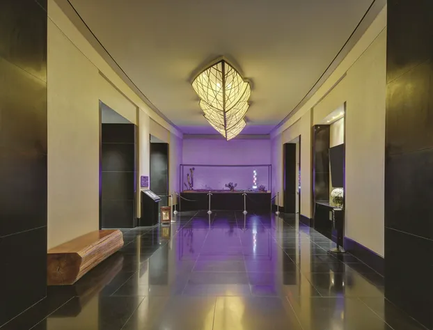 W Las Vegas hotel detail image 2