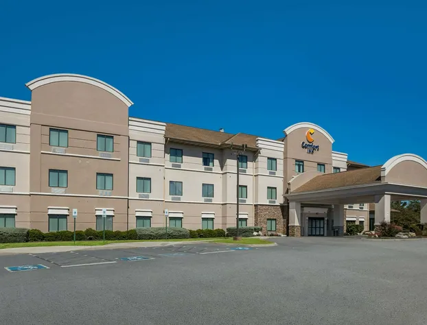 Comfort Inn Powell - Knoxville North hotel detail image 1