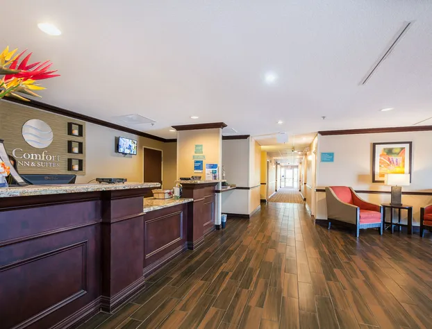 Comfort Inn & Suites Maingate South hotel detail image 2