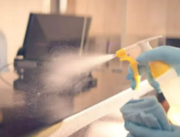 Comfort Inn & Suites Maingate South hotel detail image 4