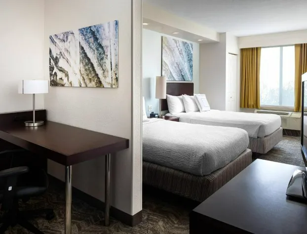 SpringHill Suites by Marriott Bakersfield hotel detail image 3