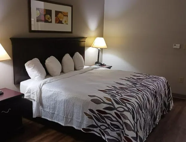 Red Roof Inn & Suites Midland hotel detail image 3