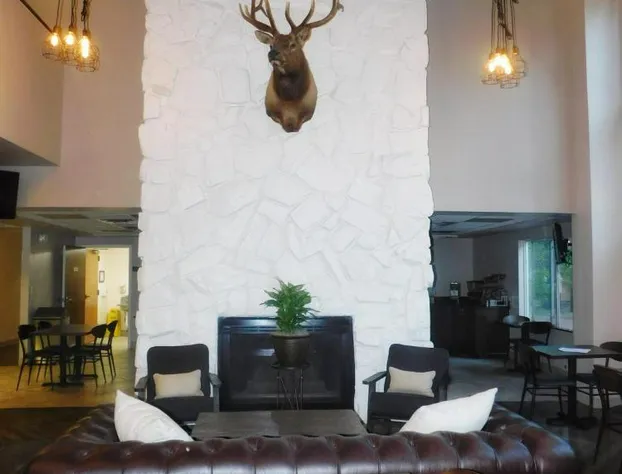 GreenTree Inn & Suites in Pinetop hotel detail image 4