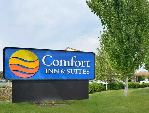 Comfort Inn & Suites McMinnville Wine Country hotel detail image 2