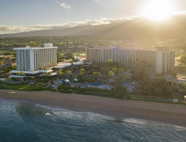 The Westin Maui Resort & Spa, Ka'anapali hotel detail image 3