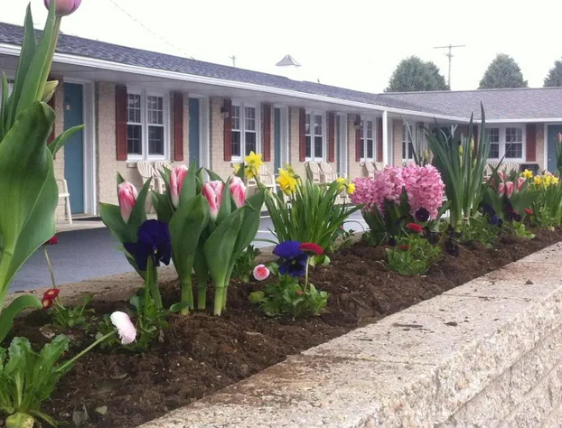 Travelers Rest Motel hotel detail image 1