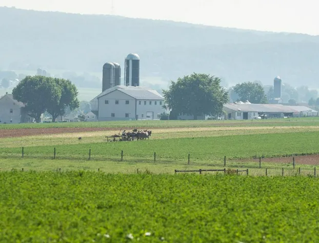 Travelers Rest Motel hotel detail image 3