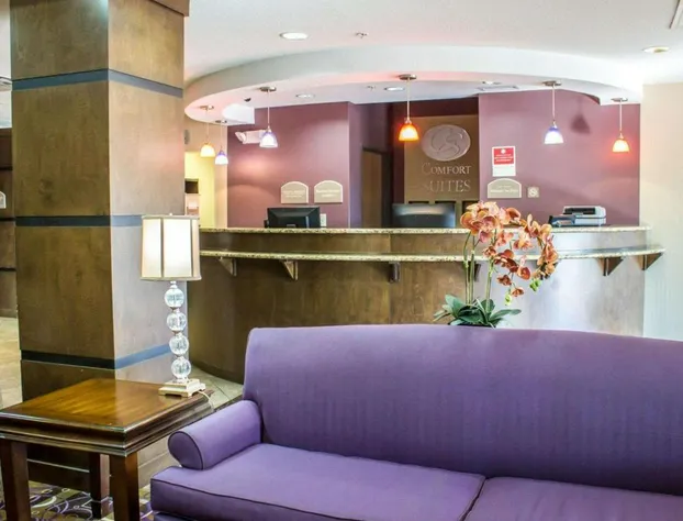 Comfort Suites Sanford hotel detail image 3