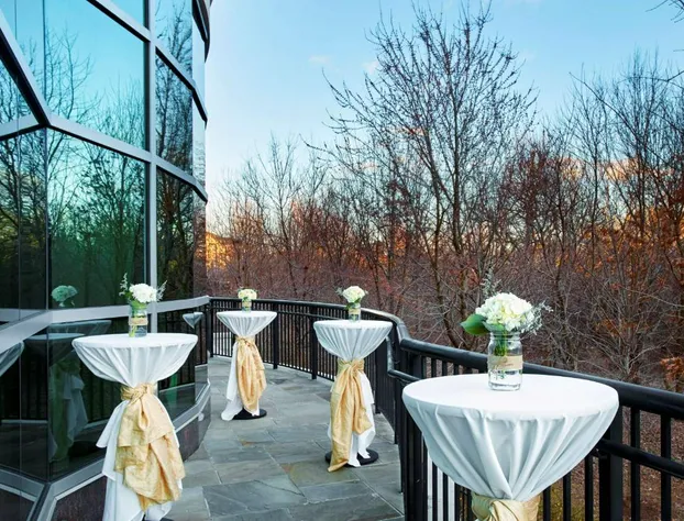 Homewood Suites by Hilton Rockville-Gaithersburg hotel detail image 3