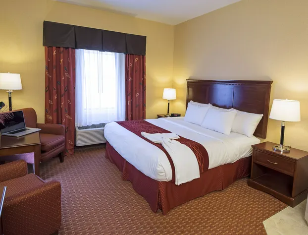 Comfort Inn Airport hotel detail image 2