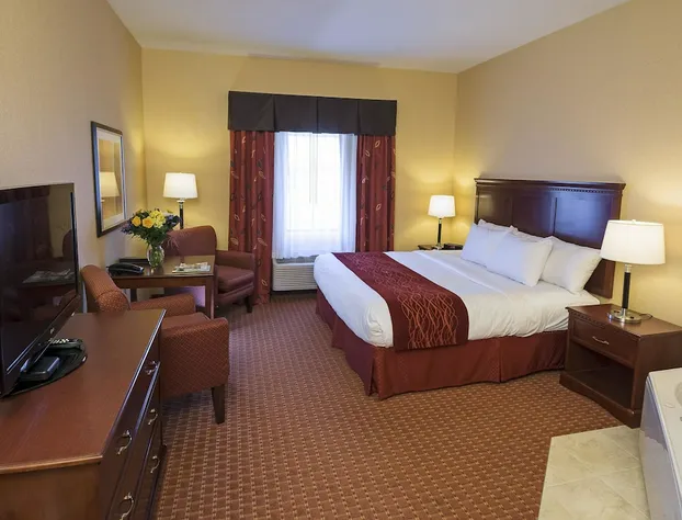 Comfort Inn Airport hotel detail image 3