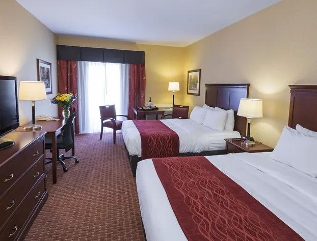 Comfort Inn Airport hotel detail image 4