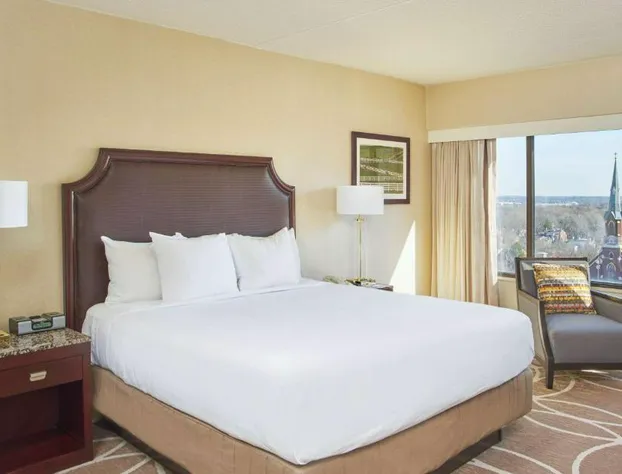 Hyatt Regency Lexington hotel detail image 3