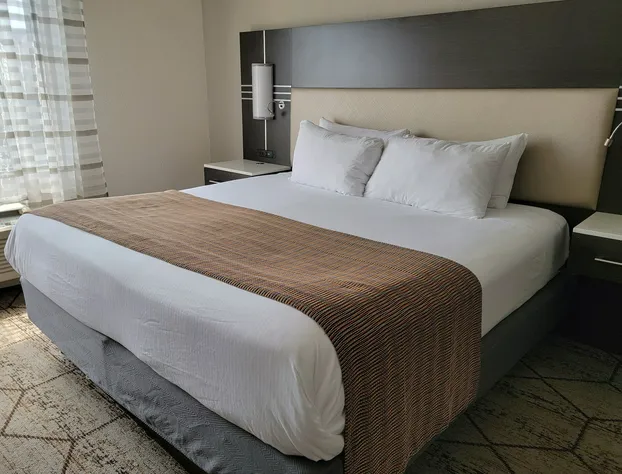 Wingate by Wyndham - Greenville-Airport hotel detail image 3