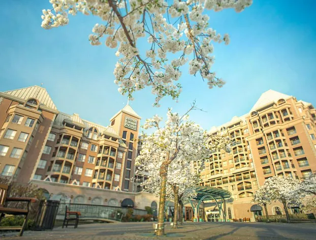 Hotel Grand Pacific hotel detail image 1