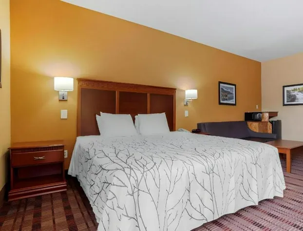 Best Western Plaquemine Inn hotel detail image 2