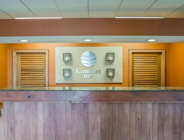 Comfort Inn - NYS Fairgrounds hotel detail image 3