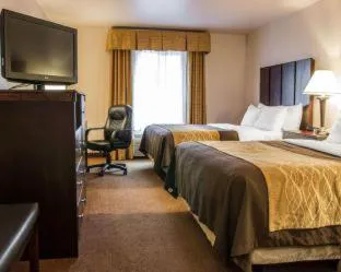 Comfort Inn & Suites hotel detail image 4