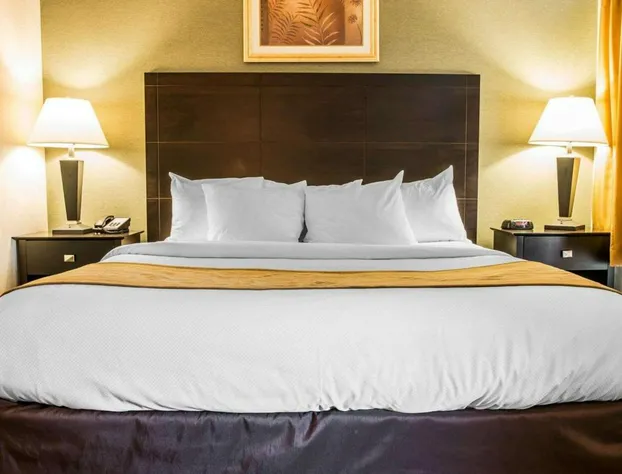 Comfort Inn Whitehall near Michigan's Adventure hotel detail image 2