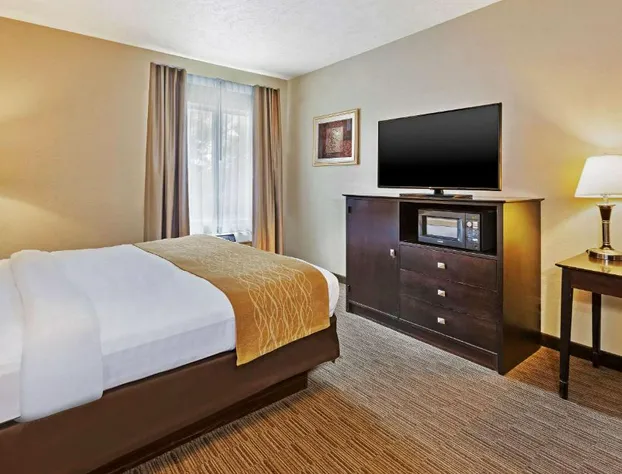 Comfort Inn Whitehall near Michigan's Adventure hotel detail image 4