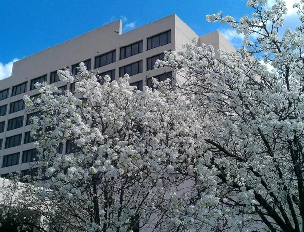 Capitol Plaza Hotel Jefferson City hotel detail image 3