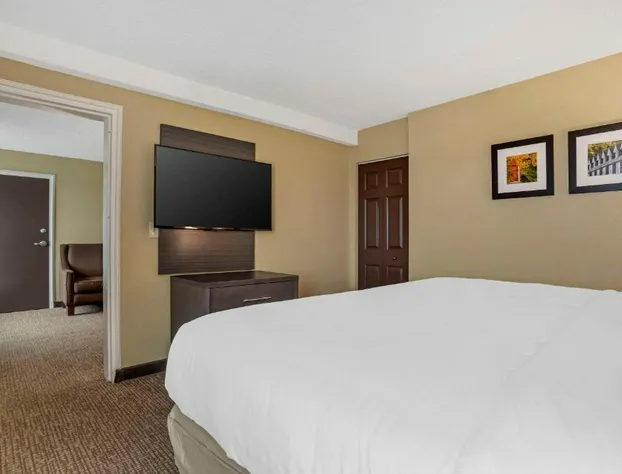 Comfort Inn Opelika - Auburn hotel detail image 2