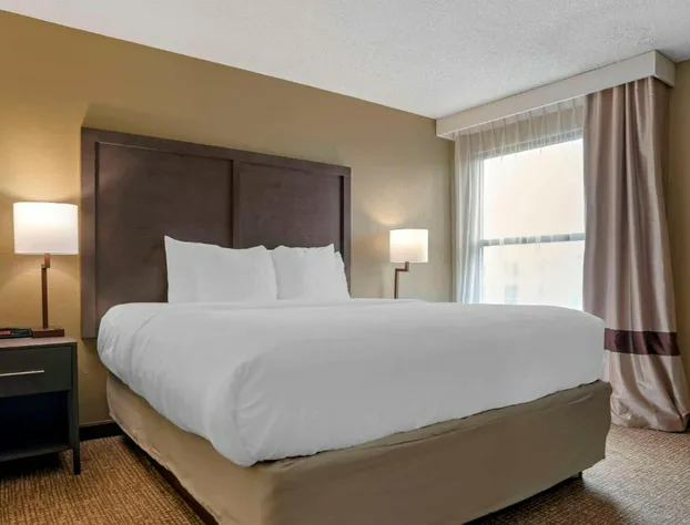 Comfort Inn Opelika - Auburn hotel detail image 3