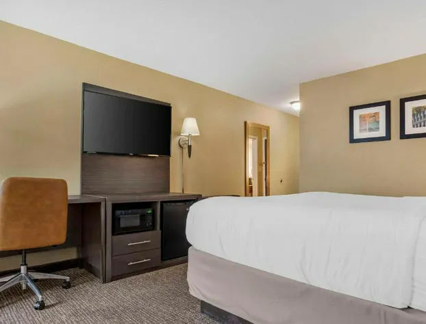 Comfort Inn Opelika - Auburn hotel detail image 4