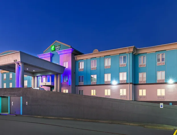 Holiday Inn Express & Suites Port Lavaca by IHG hotel detail image 1