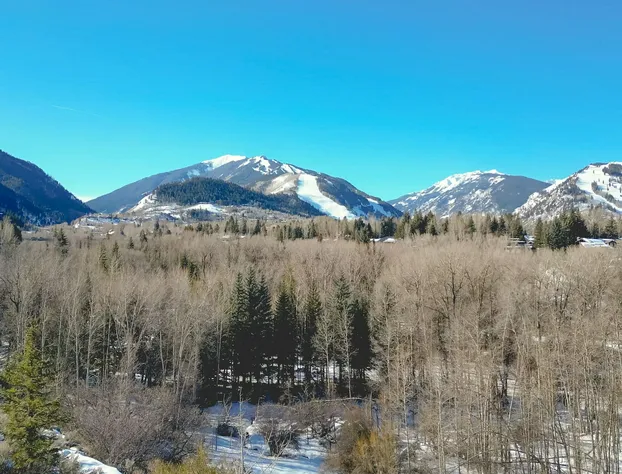 Aspen Meadows Resort hotel detail image 3
