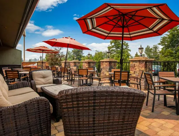 Best Western Plus Tree House hotel detail image 4