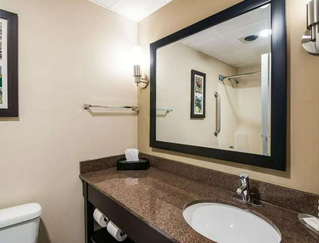 Clarion Pointe Jamestown - Falconer hotel detail image 4