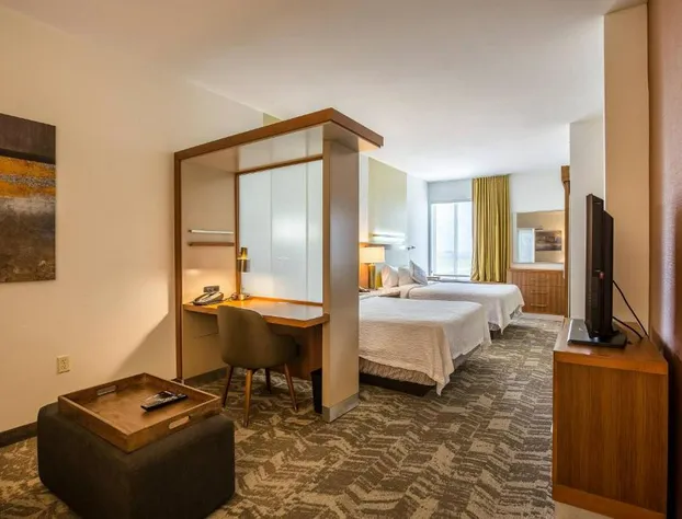 SpringHill Suites by Marriott-Houston/Rosenberg hotel detail image 2