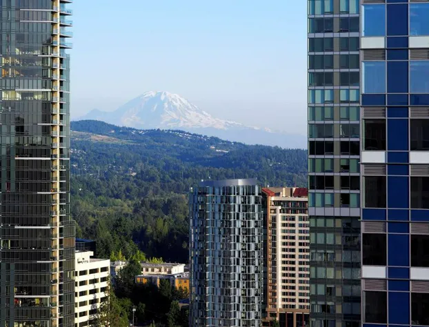 Hyatt Regency Bellevue hotel detail image 1