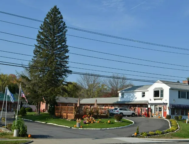 Williamstown Motel hotel detail image 3