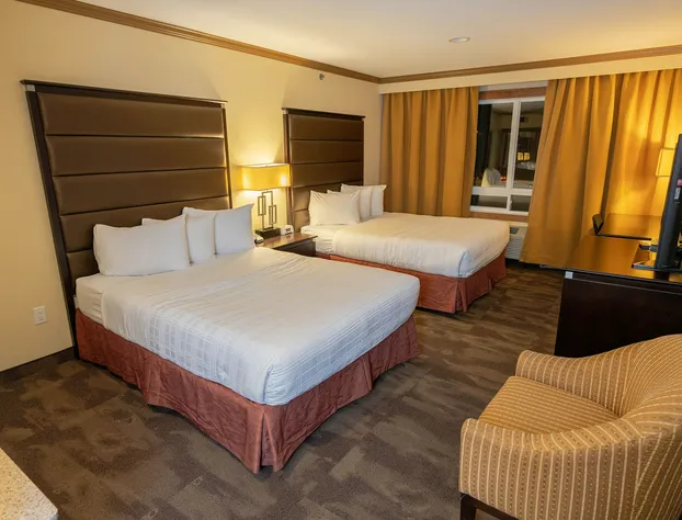 Camrose Resort & Casino hotel detail image 4